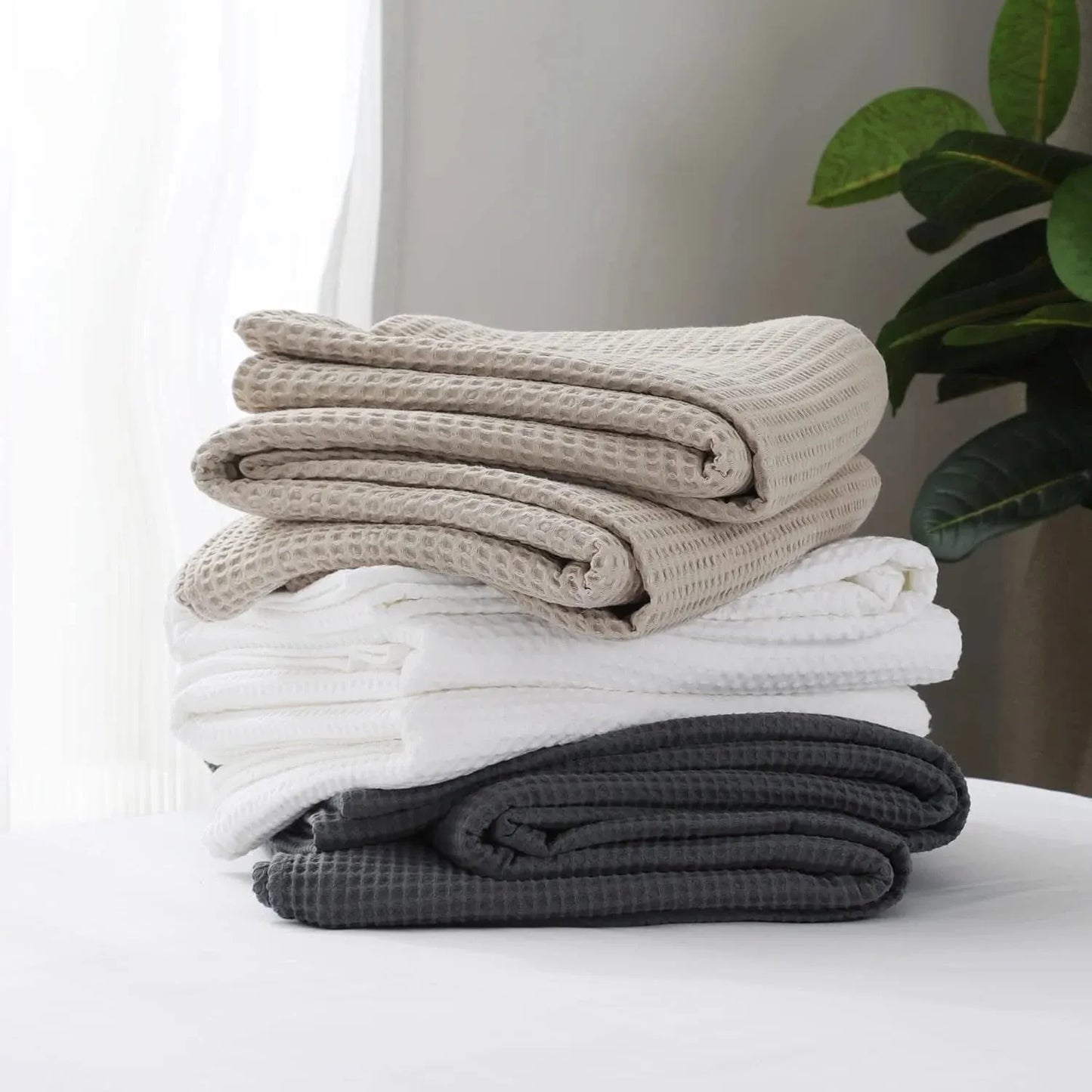 Blankets & Throws